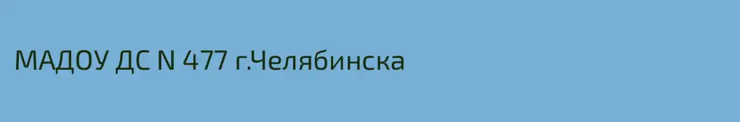 МАДОУ ДС N 477 г.Челябинска